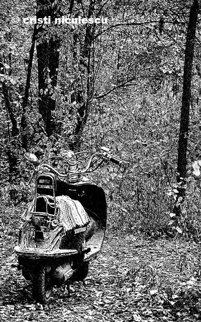 cu-scuterul-in-padure