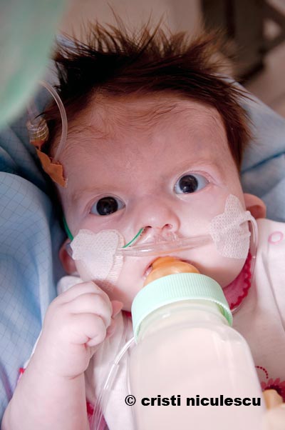 19-martie-de-Sf.Daria