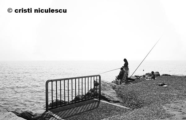 Foto: Cristi Niculescu