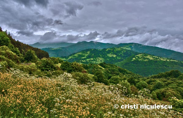 Foto: Cristi Niculescu