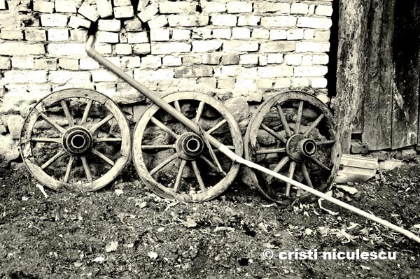 Foto: Cristi Niculescu