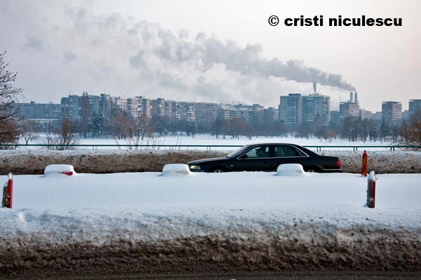 Foto: Cristi Niculescu