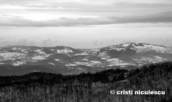 Foto: Cristi Niculescu