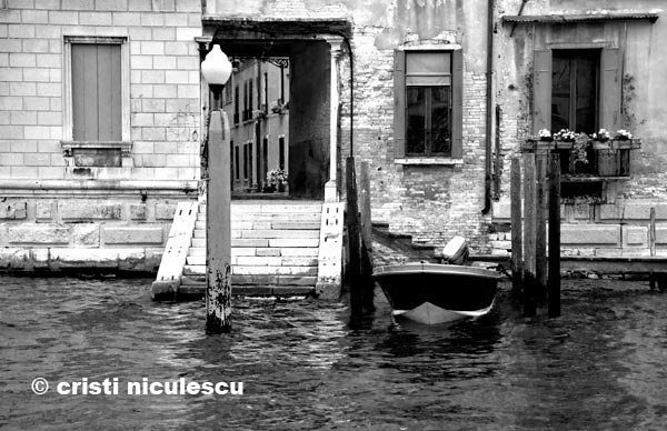 Foto: Cristi Niculescu