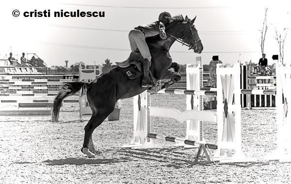 Foto: Cristi Niculescu