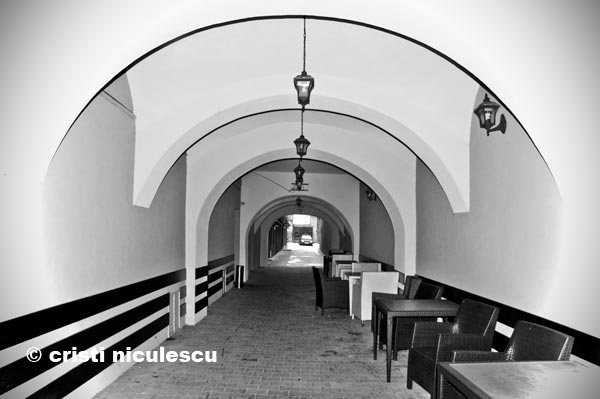 Foto: Cristi Niculescu