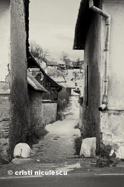 Foto: Cristi Niculescu