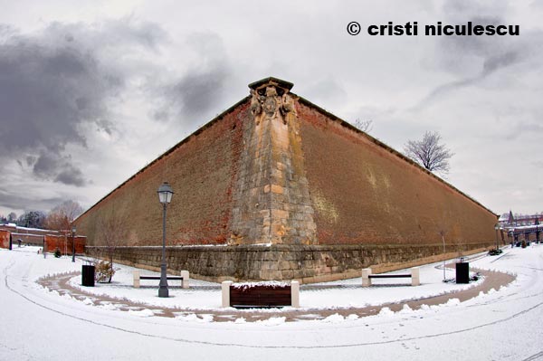 Foto: Cristi Niculescu