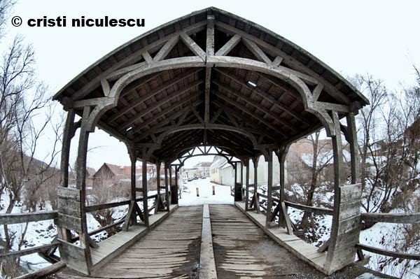 Foto: Cristi Niculescu