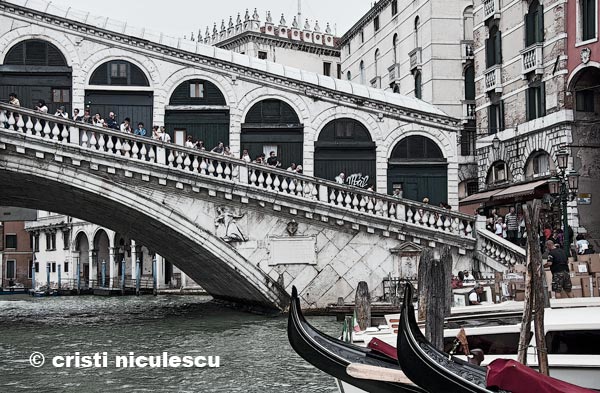 Foto: Cristi Niculescu