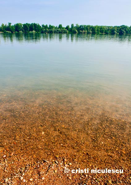 Foto: Cristi Niculescu