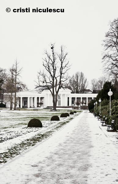 Foto: Cristi Niculescu