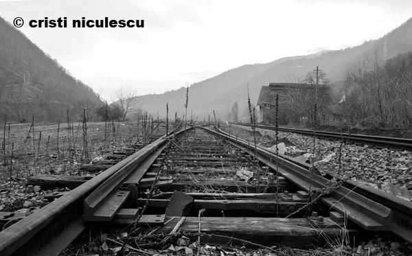 Foto: Cristi Niculescu