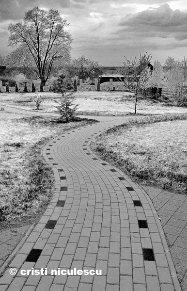 Foto: Cristi Niculescu