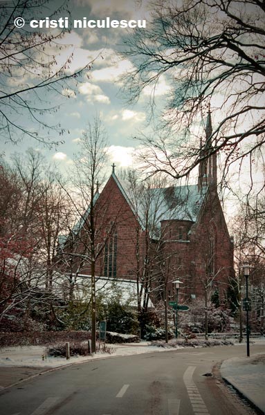 Foto: Cristi Niculescu