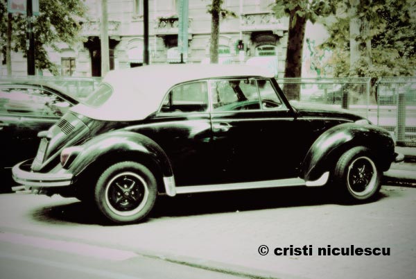 Foto: Cristi Niculescu