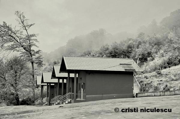 Foto: Cristi Niculescu