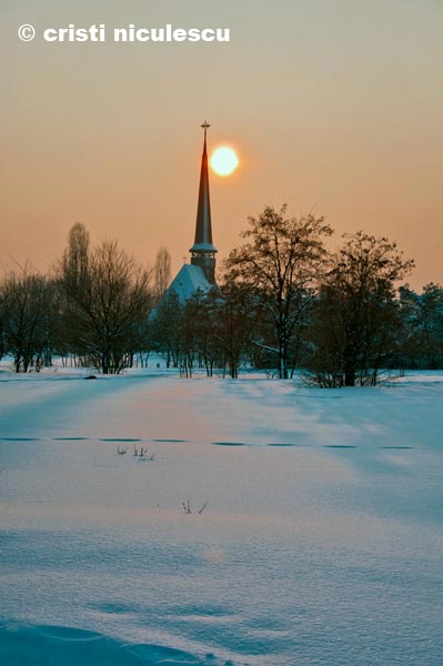 Foto: Cristi Niculescu