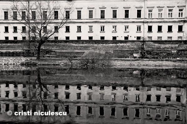 Foto: Cristi Niculescu