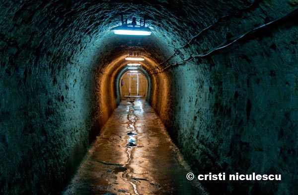 Foto: Cristi Niculescu