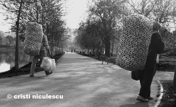 colectori-de-plastice