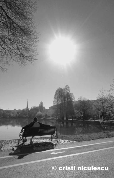 in-soarele-diminetii