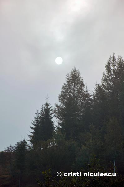 luna,-dincolo-de-brazi