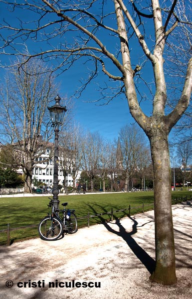 Foto: Cristi Niculescu