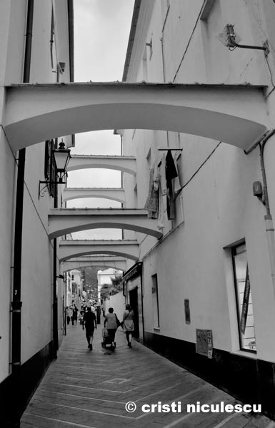 Foto: Cristi Niculescu