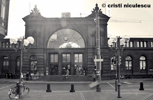 Foto: Cristi Niculescu