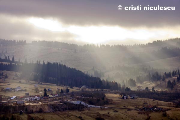 Foto: Cristi Niculescu