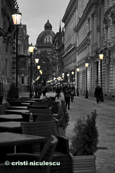 Foto: Cristi Niculescu