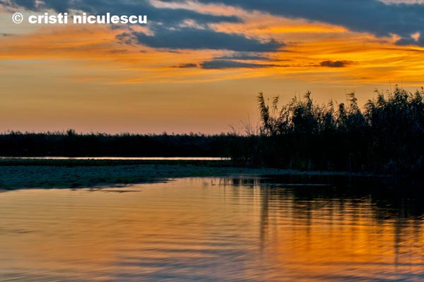 Foto: Cristi Niculescu