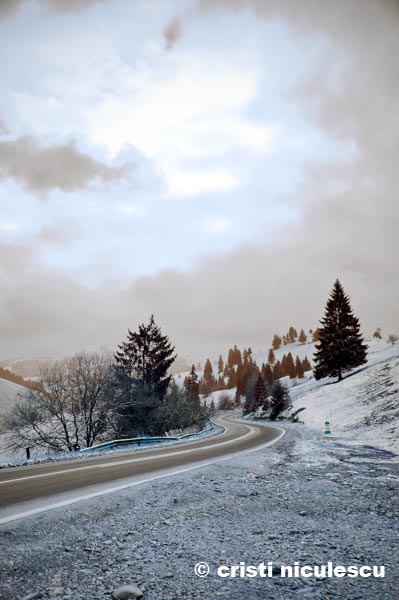 Foto: Cristi Niculescu