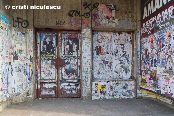 Foto: Cristi Niculescu