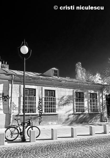 Foto: Cristi Niculescu