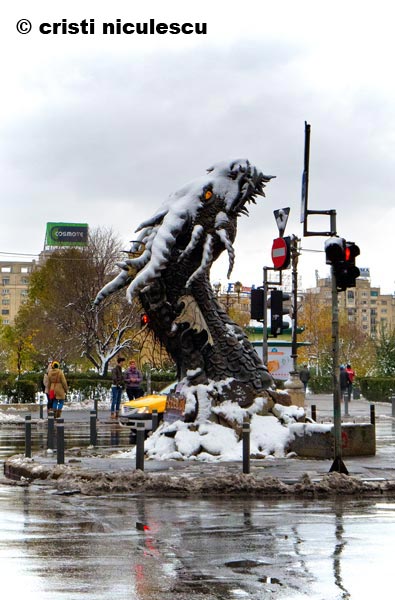 Foto: Cristi Niculescu