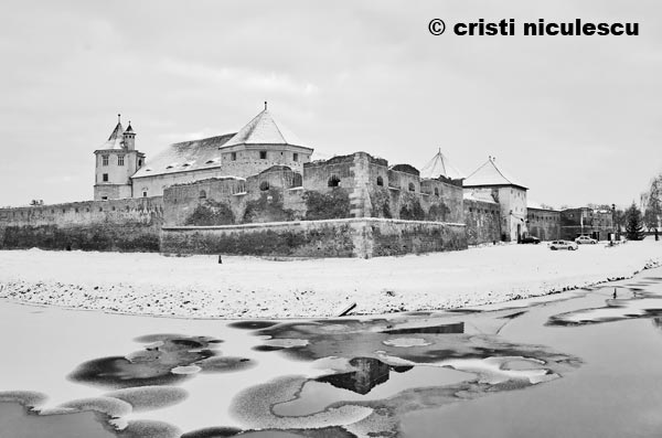 Foto: Cristi Niculescu