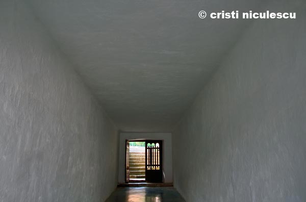 Foto: Cristi Niculescu