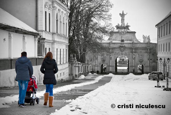 Foto: Cristi Niculescu