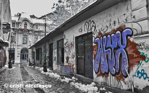 Foto: Cristi Niculescu