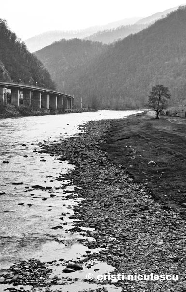 Foto: Cristi Niculescu