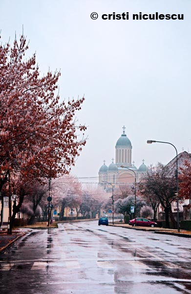 Foto: Cristi Niculescu