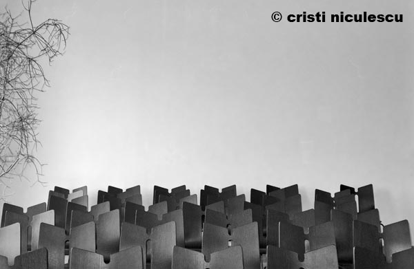 Foto: Cristi Niculescu