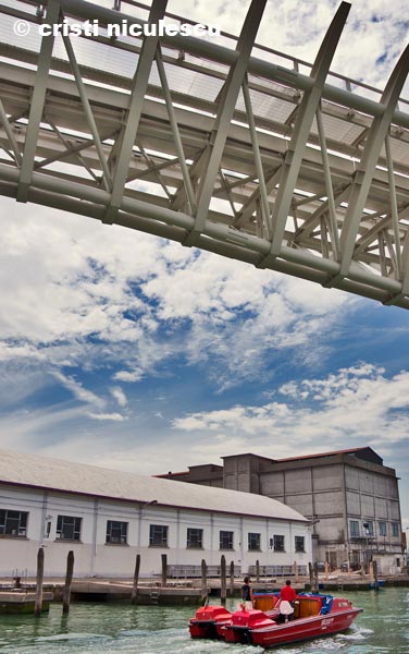 Foto: Cristi Niculescu