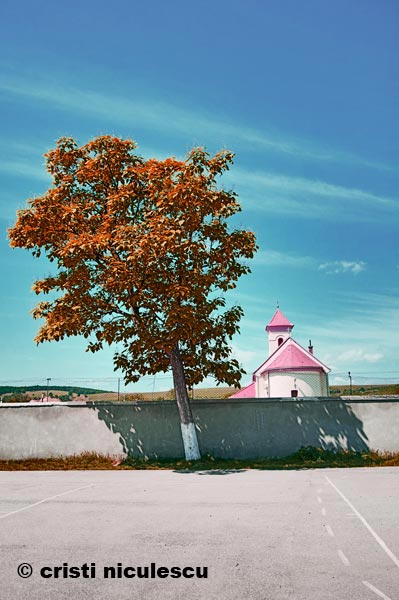 Foto: Cristi Niculescu