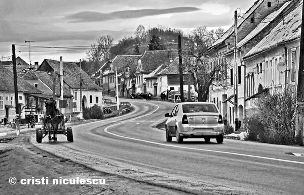 Foto: Cristi Niculescu