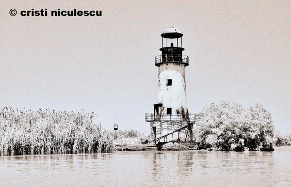 Foto: Cristi Niculescu