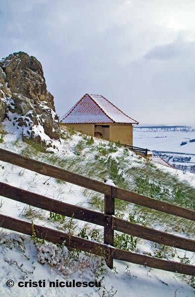 Foto: Cristi Niculescu