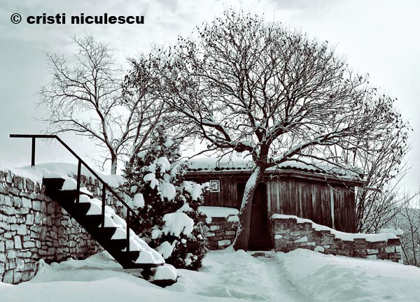 Foto: Cristi Niculescu